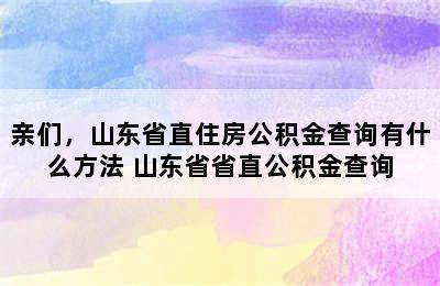 亲们，山东省直住房公积金查询有什么方法 山东省省直公积金查询